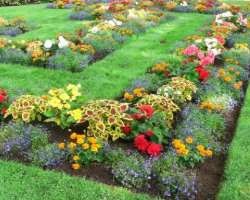 The garden is like a paradise for lovers of photography, natural beauty, and bird watchers.